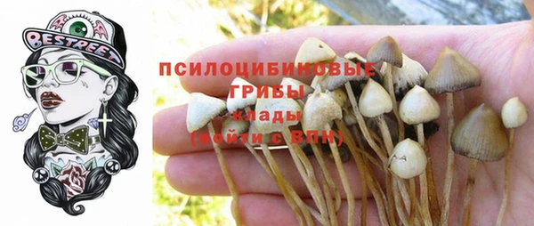 крисы Белоозёрский