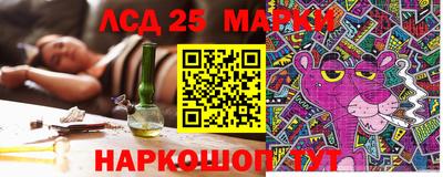 сатива Будённовск