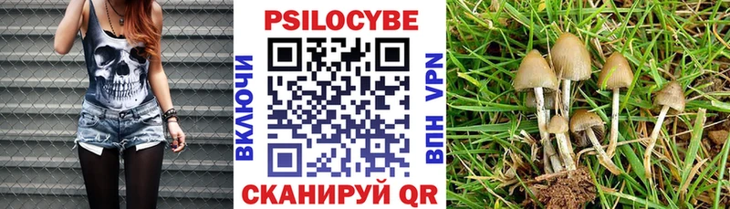 купить наркотик  Балахна  Псилоцибиновые грибы MAGIC MUSHROOMS 
