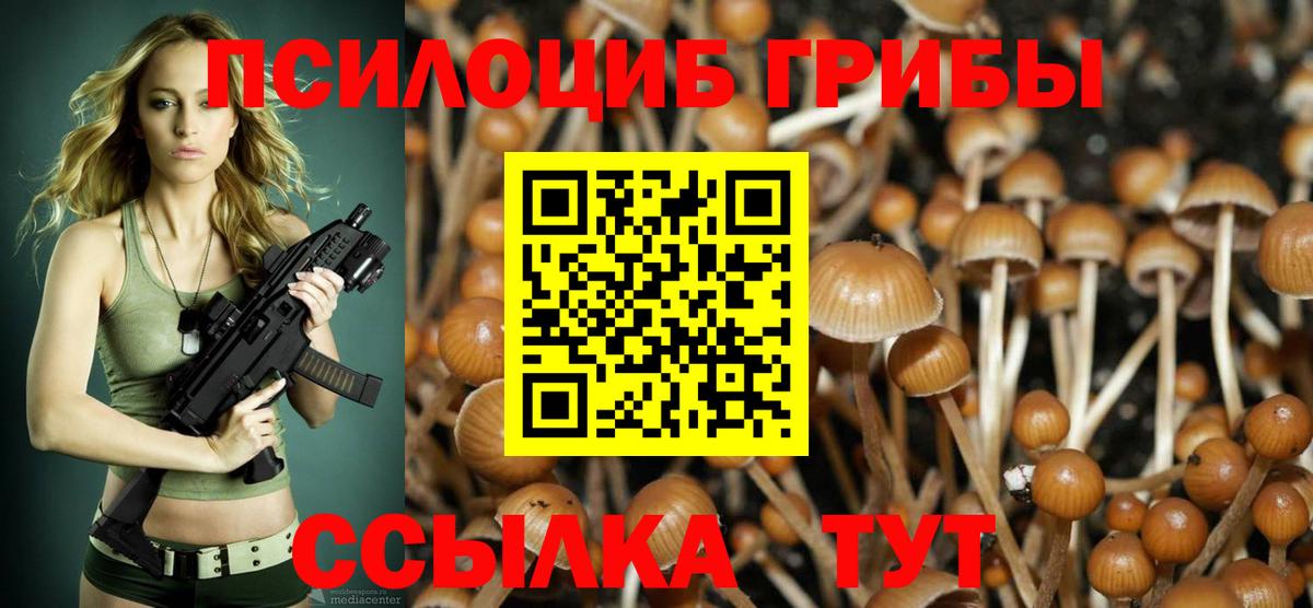 купить наркоту  Балахна  Галлюциногенные грибы MAGIC MUSHROOMS 