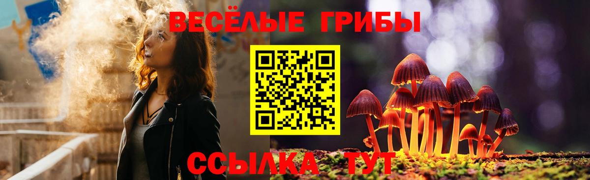 Псилоцибиновые грибы GOLDEN TEACHER  Вход с VPN  Балахна 